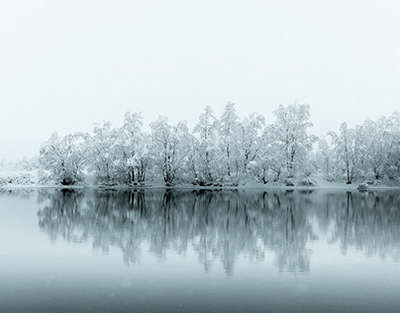 Ата Заңдағы тіл мәселесі: Жаңа жобадағы заңдық нақтылаулар